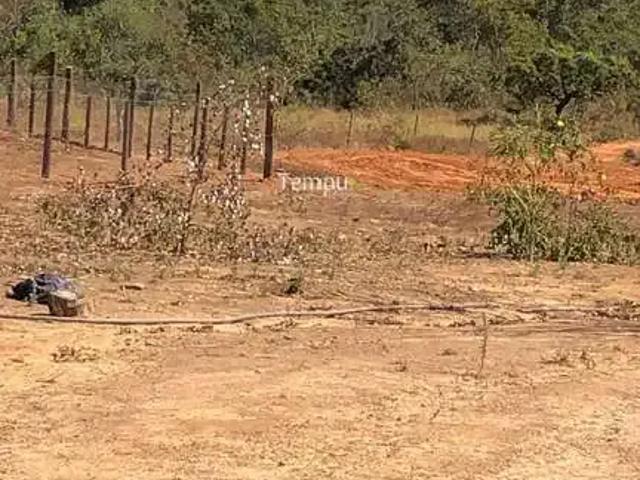 Sítio / Chácara para Venda em São Miguel do Passa Quatro/GO Setor Central 3 Quartos