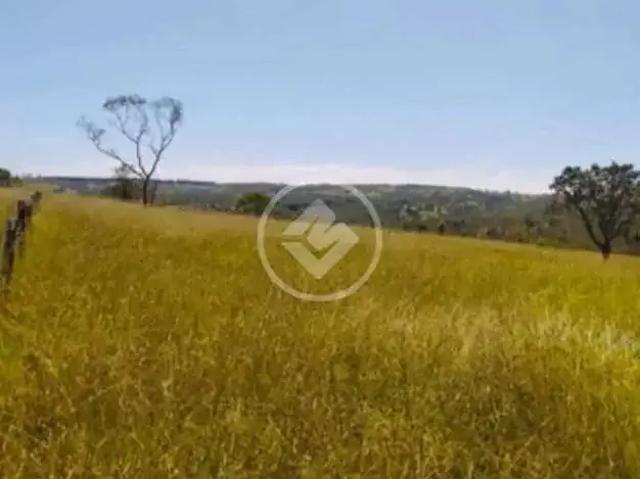 Sítio / Chácara para Venda em São Miguel do Passa Quatro/GO Setor Central 3 Quartos