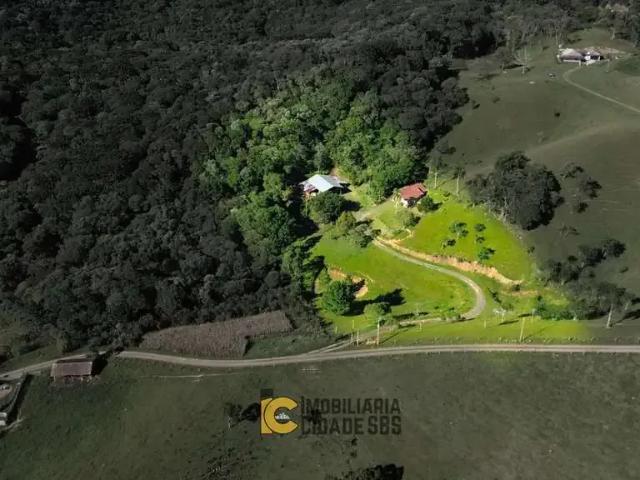 Sítio / Chácara para Venda em São Bento do Sul/SC Serra Alta 3 Quartos