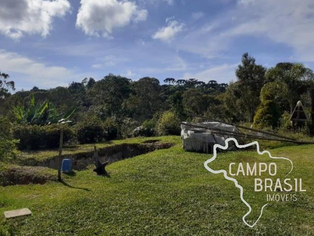 Sítio / Chácara para Venda em São Bento do Sapucaí/SP Centro 3 Quartos