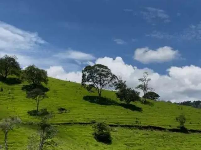 Sítio / Chácara para Venda em São Bento do Sapucaí/SP Centro