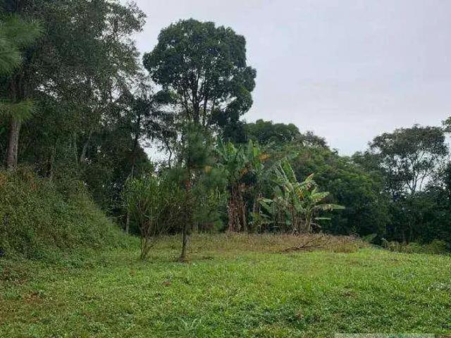 Sítio / Chácara para Venda em São Bernardo do Campo/SP Rio Grande 4 Quartos