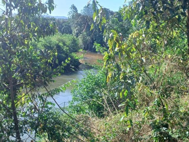 Sítio / Chácara para Venda em São Bonifácio/SC Centro