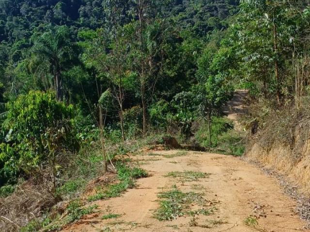 Sítio / Chácara para Venda em São Bonifácio/SC Centro