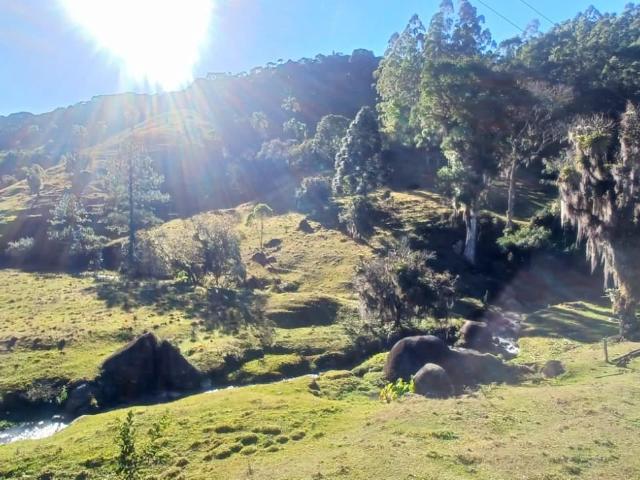 Sítio / Chácara para Venda em São Bonifácio/SC Rio do Ponche 1 Quartos