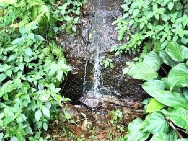 Sítio / Chácara para Venda em São Bonifácio/SC Zona Rural 5 Quartos