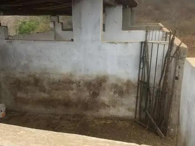 Sítio / Chácara para Venda em São Caitano/PE Centro 3 Quartos
