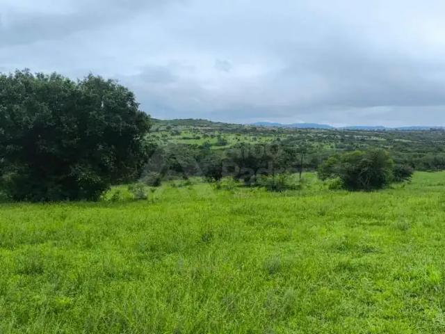 Sítio / Chácara para Venda em São Caitano/PE Centro 2 Quartos