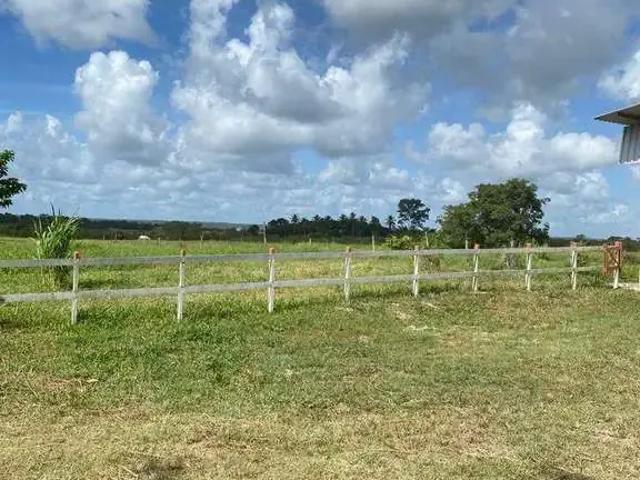Sítio / Chácara para Venda em São Cristóvão/SE Centro 2 Quartos
