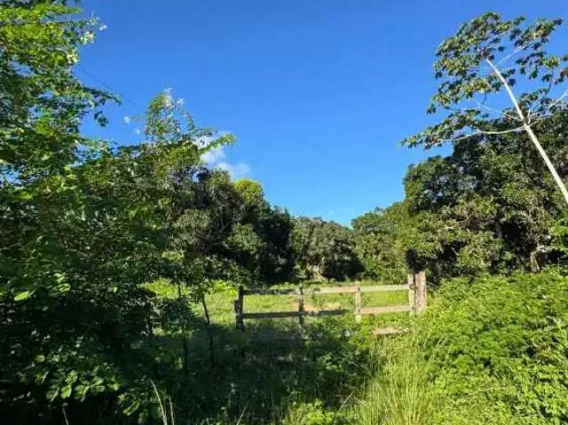 Sítio / Chácara para Venda em São Cristóvão/SE Zona Rural