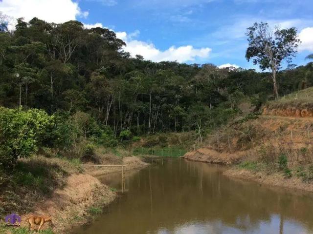 Sítio / Chácara para Venda em São Domingos do Prata/MG Zona Rural