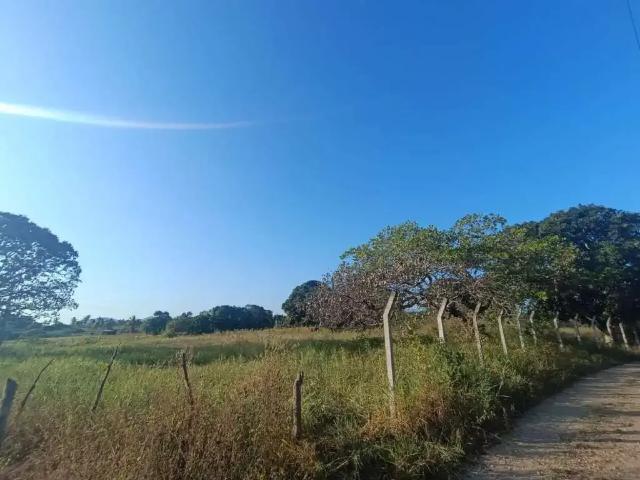 Sítio / Chácara para Venda em São Domingos/SE Centro