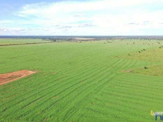 Sítio / Chácara para Venda em São Félix do Araguaia/MT Zona Rural