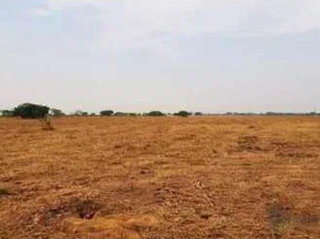 Sítio / Chácara para Venda em São Félix do Araguaia/MT Zona Rural
