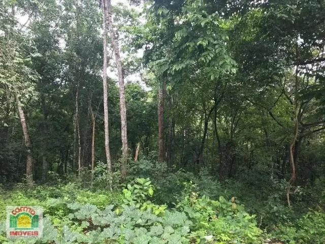Sítio / Chácara para Venda em São Francisco de Goiás/GO Setor Central 3 Quartos