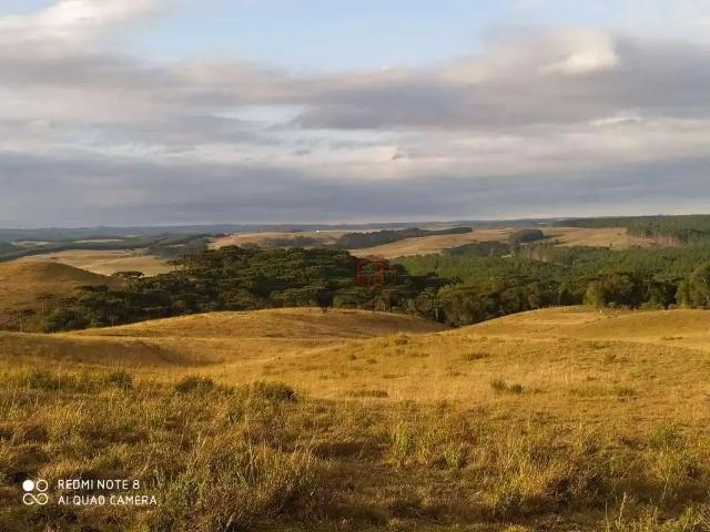 Sítio / Chácara para Venda em São Francisco de Paula/RS Barragem do Blang 2 Quartos