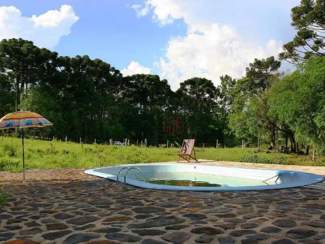 Sítio / Chácara para Venda em São Francisco de Paula/RS Barragem do Salto 3 Quartos
