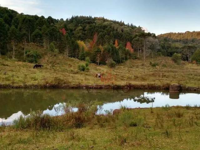 Sítio / Chácara para Venda em São Francisco de Paula/RS Eletra