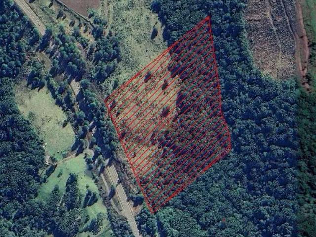Sítio / Chácara para Venda em São Francisco de Paula/RS Eletra