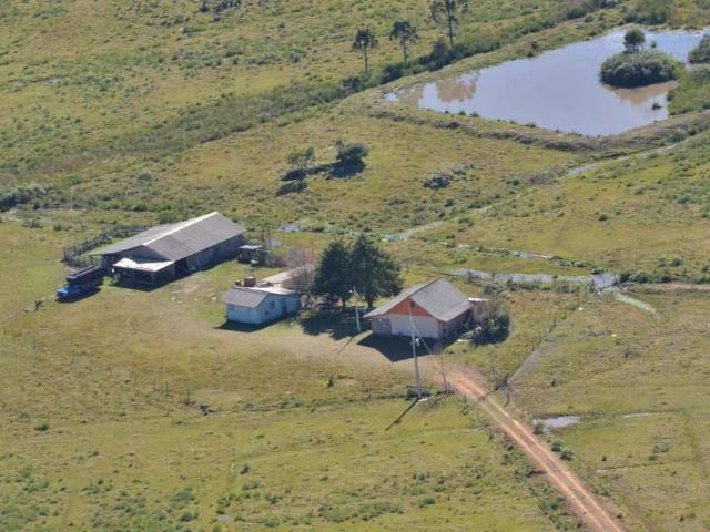 Sítio / Chácara para Venda em São Francisco de Paula/RS Lajeado Grande