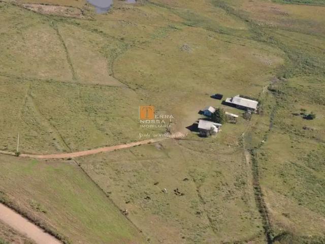 Sítio / Chácara para Venda em São Francisco de Paula/RS Lajeado Grande