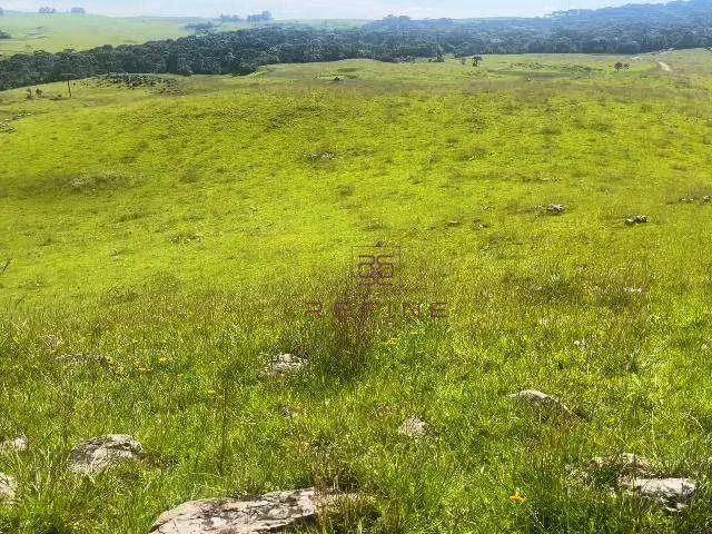 Sítio / Chácara para Venda em São Francisco de Paula/RS Tainhas