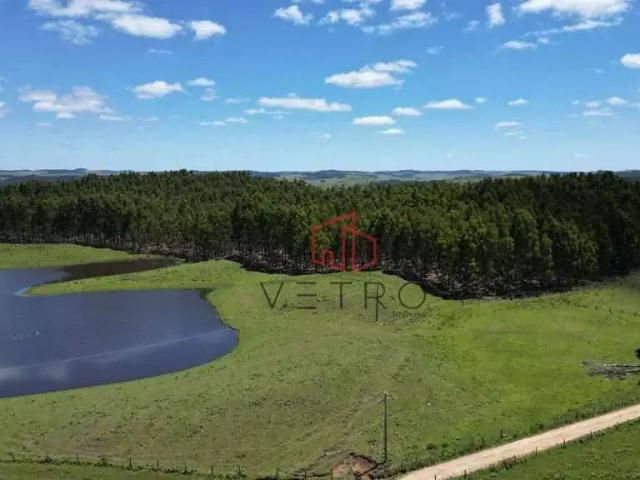 Sítio / Chácara para Venda em São Francisco de Paula/RS Zona Rural 2 Quartos