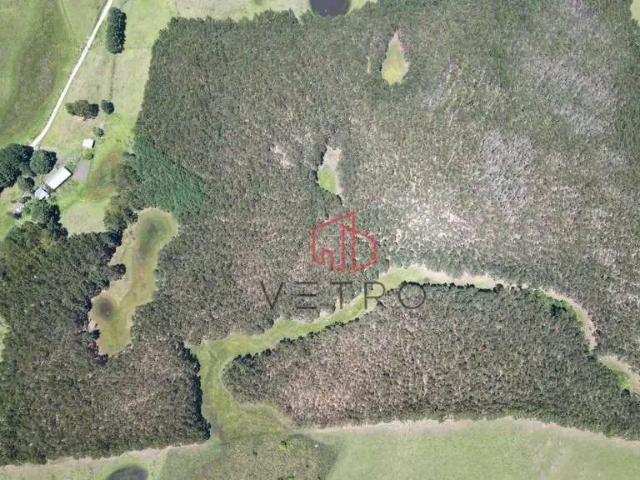 Sítio / Chácara para Venda em São Francisco de Paula/RS Zona Rural 2 Quartos