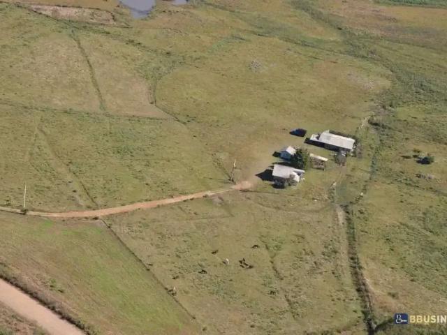 Sítio / Chácara para Venda em São Francisco de Paula/RS Zona Rural 4 Quartos