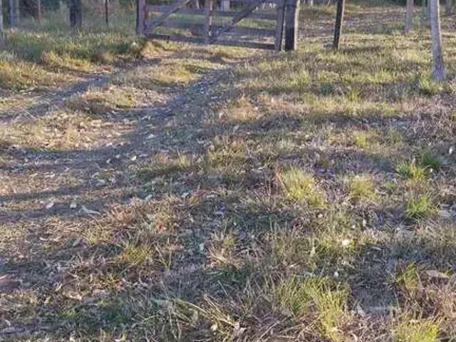 Sítio / Chácara para Venda em São Francisco de Paula/RS Zona Rural