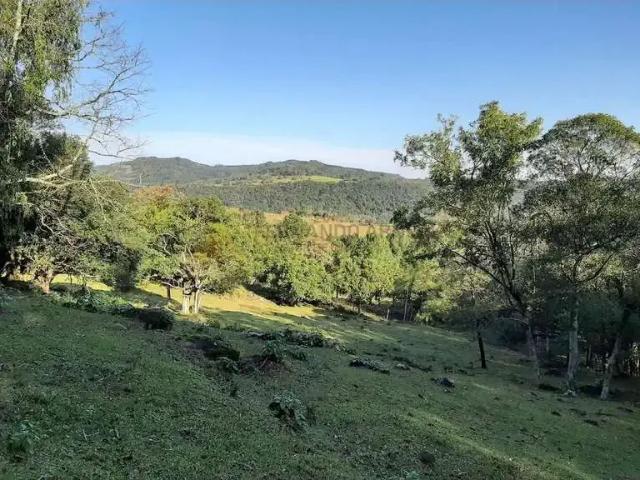 Sítio / Chácara para Venda em São Francisco de Paula/RS Zona Rural
