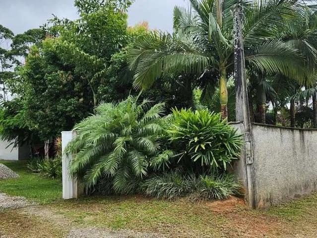 Sítio / Chácara para Venda em São Francisco do Sul/SC Tapera 3 Quartos