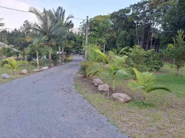 Sítio / Chácara para Venda em São Francisco do Sul/SC Praia do Ervino 2 Quartos