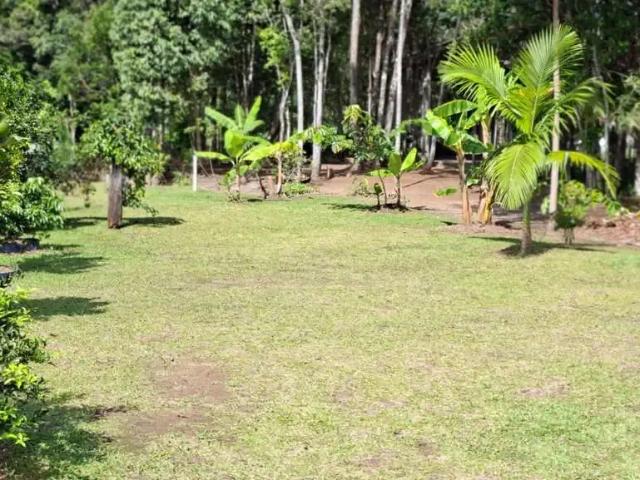 Sítio / Chácara para Venda em São Francisco do Sul/SC Praia do Ervino