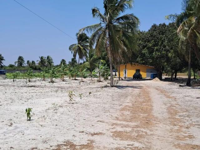 Sítio / Chácara para Venda em São Gonçalo do Amarante/CE Parada 4 Quartos