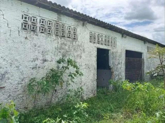 Sítio / Chácara para Venda em São Gonçalo do Amarante/RN Centro 3 Quartos