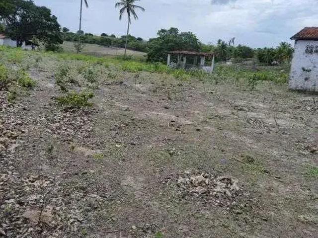 Sítio / Chácara para Venda em São Gonçalo do Amarante/RN Guajiru 3 Quartos