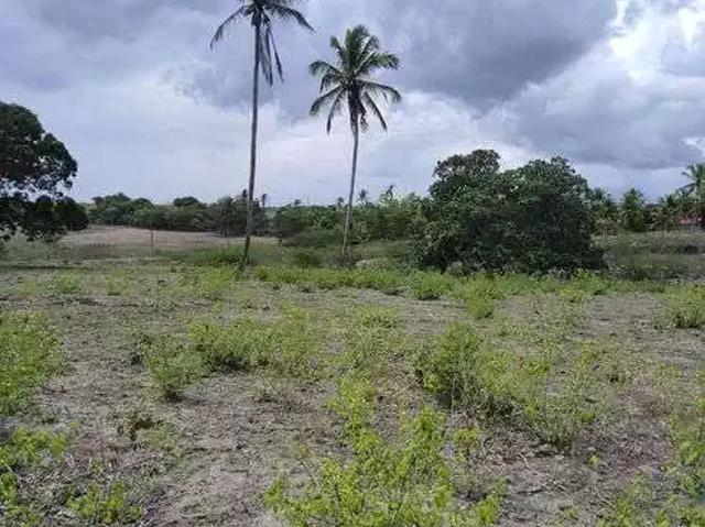 Sítio / Chácara para Venda em São Gonçalo do Amarante/RN Guajiru 3 Quartos