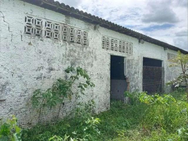 Sítio / Chácara para Venda em São Gonçalo do Amarante/RN Novo Amarante 4 Quartos
