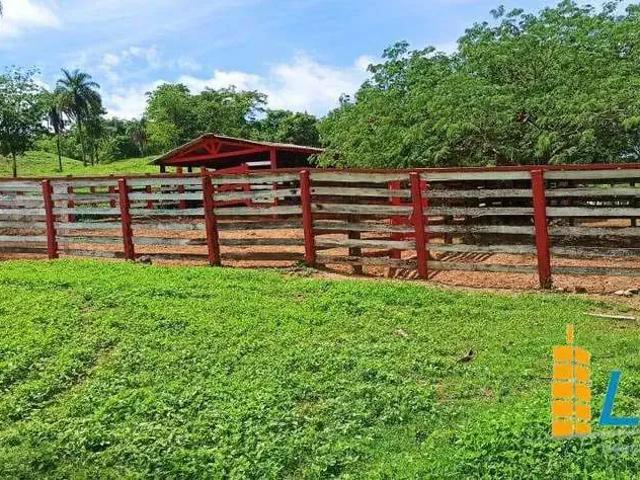 Sítio / Chácara para Venda em São Gonçalo do Abaeté/MG Zona Rural