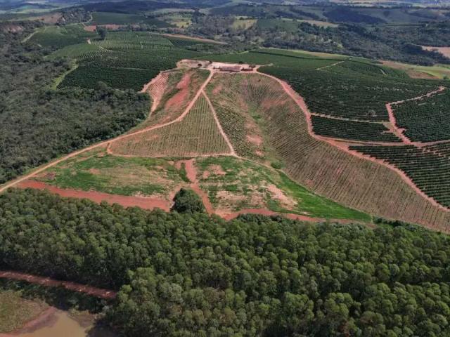 Sítio / Chácara para Venda em São Gonçalo do Sapucaí/MG Zona Rural