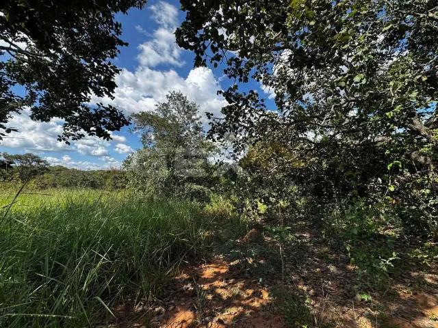 Sítio / Chácara para Venda em São Gonçalo do Pará/MG Zona Rural