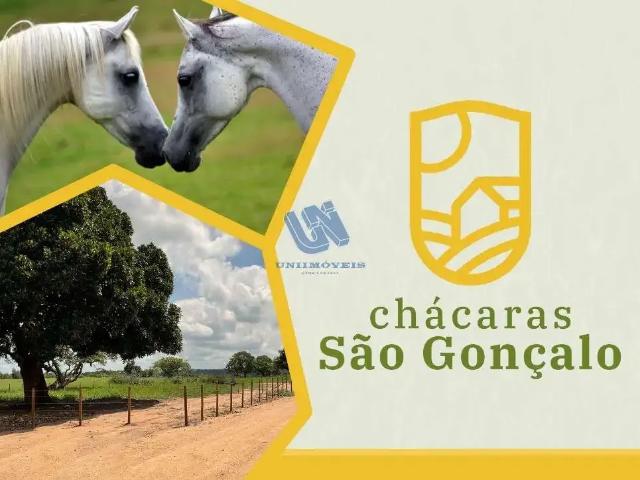 Sítio / Chácara para Venda em São Gonçalo dos Campos/BA Centro 1 Quartos