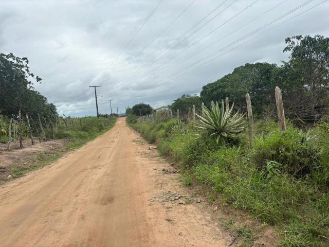 Sítio / Chácara para Venda em São Gonçalo dos Campos/BA Zona Rural 4 Quartos
