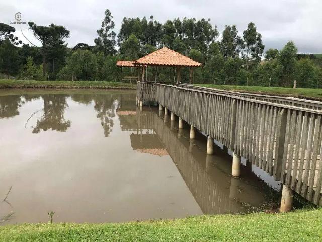 Sítio / Chácara para Venda em São Jerônimo da Serra/PR Centro 3 Quartos