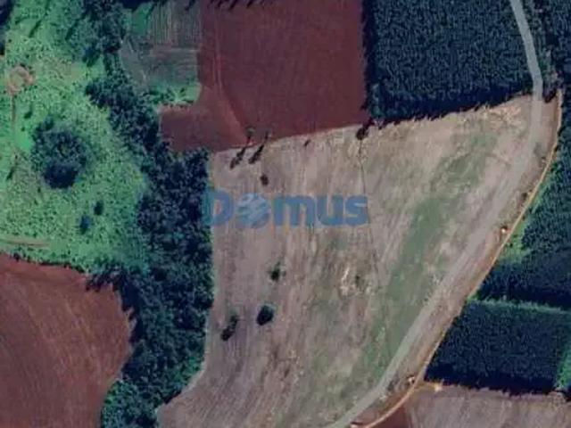 Sítio / Chácara para Venda em São Jerônimo da Serra/PR São João do Pinhal