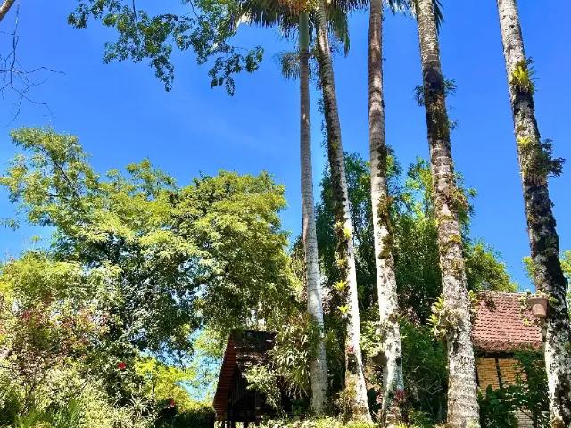 Sítio / Chácara para Venda em São João Batista/SC Tijipió 2 Quartos