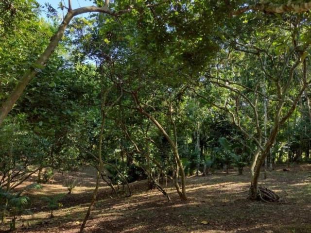 Sítio / Chácara para Venda em São João do Itaperiú/SC Zona Rural 2 Quartos