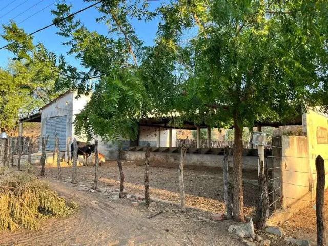 Sítio / Chácara para Venda em São João do Sabugi/RN Centro 4 Quartos