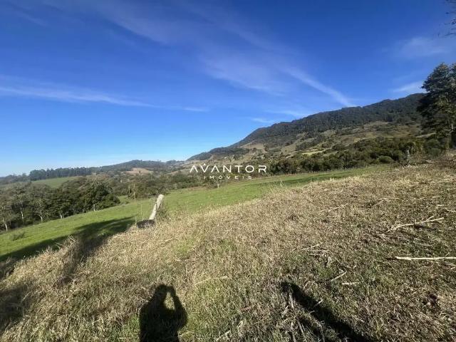 Sítio / Chácara para Venda em São João do Polesine/RS Zona Rural
